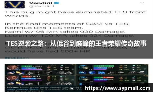 OE欧亿